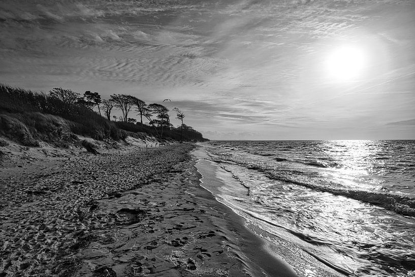 Am Strand der Ostsee in schwarz weiß von Martin Köbsch