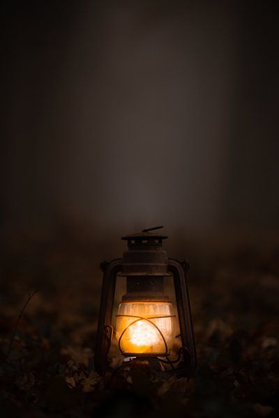 Lantern in the fog by Roos Zanderink
