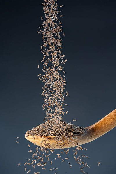 Finest caraway seeds - natural flavour for your kitchen by Photo Art Thomas Klee