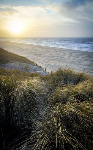 Strand en duin, zee en wind, golven langs de kust!