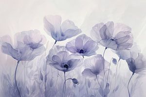 Mohn Blumen