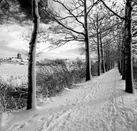 Vianen with Vrijerslaantje in the snow