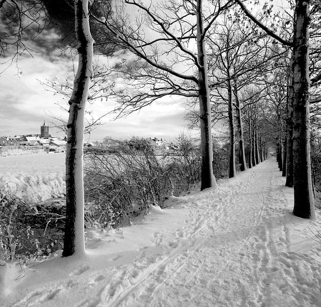 Vianen met Vrijerslaantje in de sneeuw van Paul van der Lugt