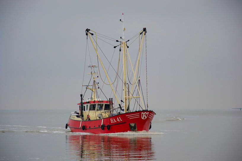 Harlinger Kotter van Sidney Portier