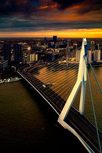 Rotterdam in avondlicht