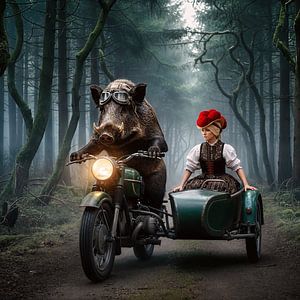 Randonnée sauvage en Forêt-Noire 2.0