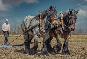 Landwirt mit Zugpferd von Lisette van Peenen