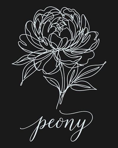 Minimalistische poster met een lijntekening van een pioenroos – zwarte editie