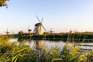 Zes molens aan het water