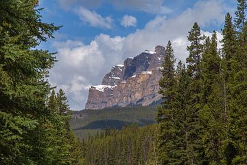 Castle Mountain van Franksfotoforum