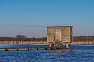 the lonely viewing hut von Koen Ceusters Miniaturansicht