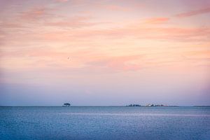 Peaceful morning in Maasholm