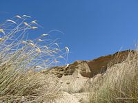 Spaanse droogte