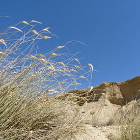 Spaanse droogte van Piet van Winkel