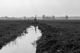 Wiese in Schwarz-Weiß von Eveline Eijlander