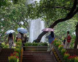 A quiet moment in Kowloon Park, Hong Kong by Minimalistic Travel Photography by.Rieneke