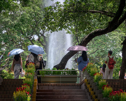 Ein ruhiger Moment im Kowloon Park, Hongkong von Minimalistic Travel Photography by.Rieneke