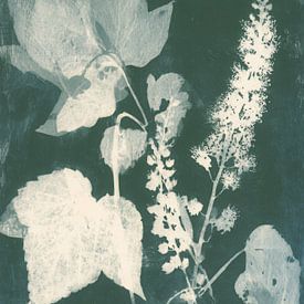 Grüne botanische Cyanotypie - heitere Kunst der Blätter und des Lichts von But First Framing