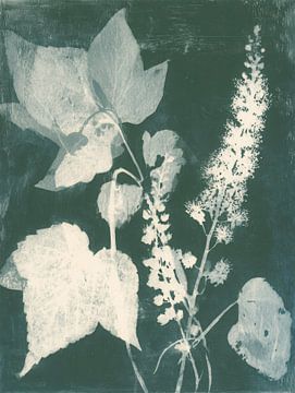 Grüne botanische Cyanotypie - heitere Kunst der Blätter und des Lichts