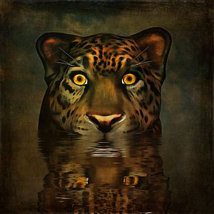 Tierreich  – Große Katze schaut dir direkt in die Augen