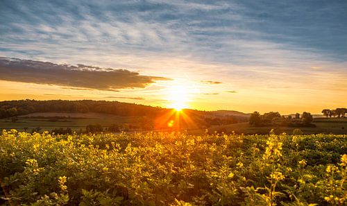 Zonsopkomst bij Mamelis in Zuid-Limburg
