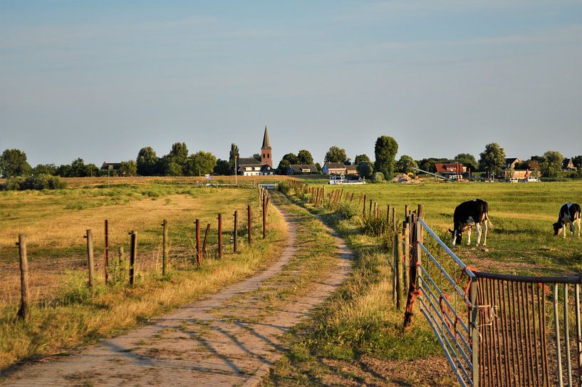 Rivierenlandschap van Marije van der Vies