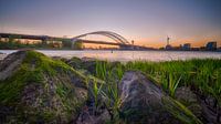 De Brienenoord van IDM Photography thumbnail