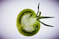 Grüne Tomate