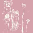 Abstrakte botanische Kunst. Blumen und Pflanzen in weiß auf rosa von Dina Dankers Miniaturansicht