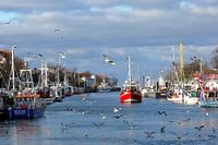Port in Warnemuende