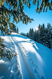 Tannheimer mountains in winter magic by Leo Schindzielorz