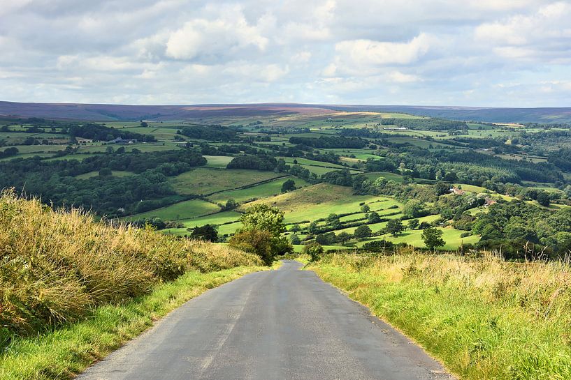 North York Moors by Gisela Scheffbuch
