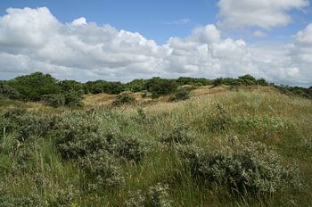 Duinen Schiermonnikoog 2.