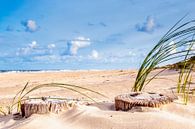 Op het strand van Geert Huberts thumbnail