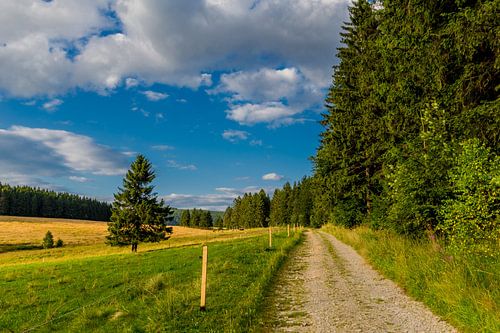 Prachtig landschap bij de Rennsteig/Thüringerwoud