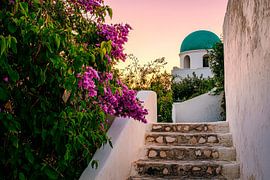 Staircase with colourful flowers by Poster Art Shop