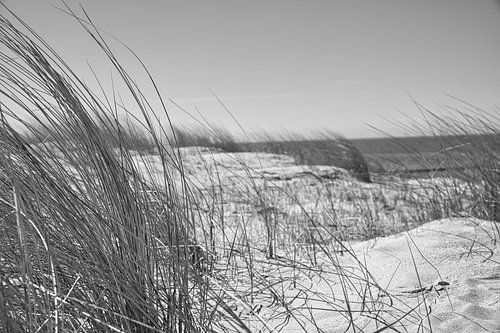 Op het Oostzeestrand met duinen