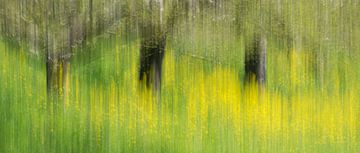 Yellow flowers abstract by Patrick Verhoef