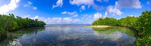Erstaunliches Panorama eines kleinen Paradieses in den Mangroven von Aruba