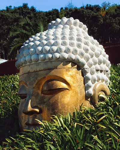 Buddha