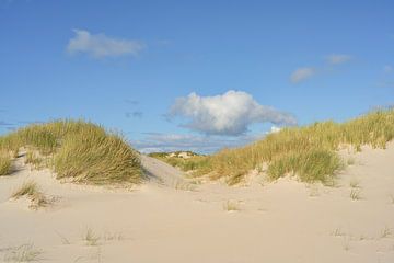 Duinen op Amrum van Michael Valjak