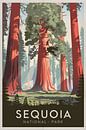 Sequoia Nationaal Park van Poster Art Shop thumbnail