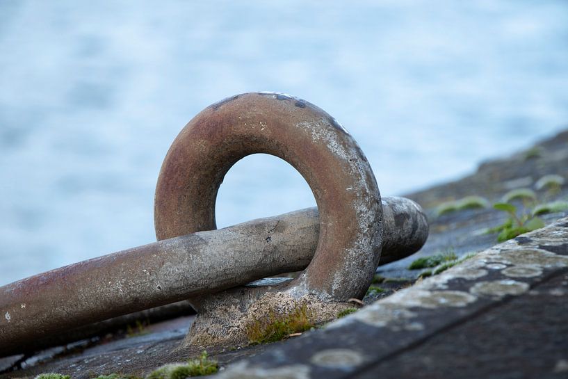 Rencontre sur le quai à Hellevoetsluis par Anita van Gijn