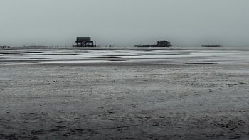 Stilt Houses in the Winter Wadden Sea