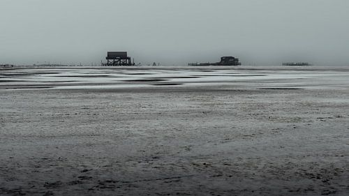Stilt Houses in the Winter Wadden Sea