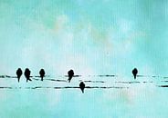 Birds on a wire 11 von Maria Kitano Miniaturansicht