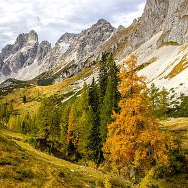 Auf der Alm in Filzmoos von Christa Kramer