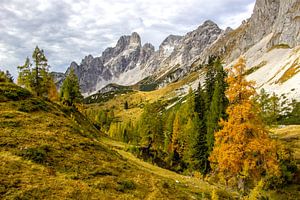 Auf der Alm in Filzmoos