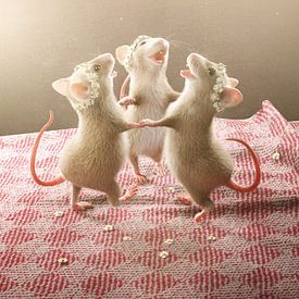 Drie muizen dansen op de tafel van Torsten Lass