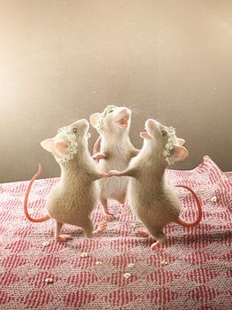 Three mice dancing on the table